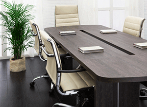 plant in board room