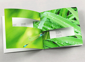 inspirational printed booklets