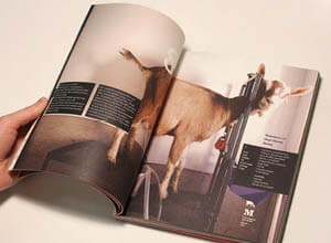 open magazine with varnish sealed pages