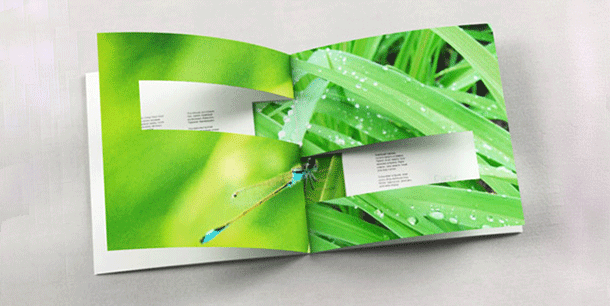 Colour print cut out brochure