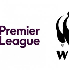 Logo examples: Premier League and WWF